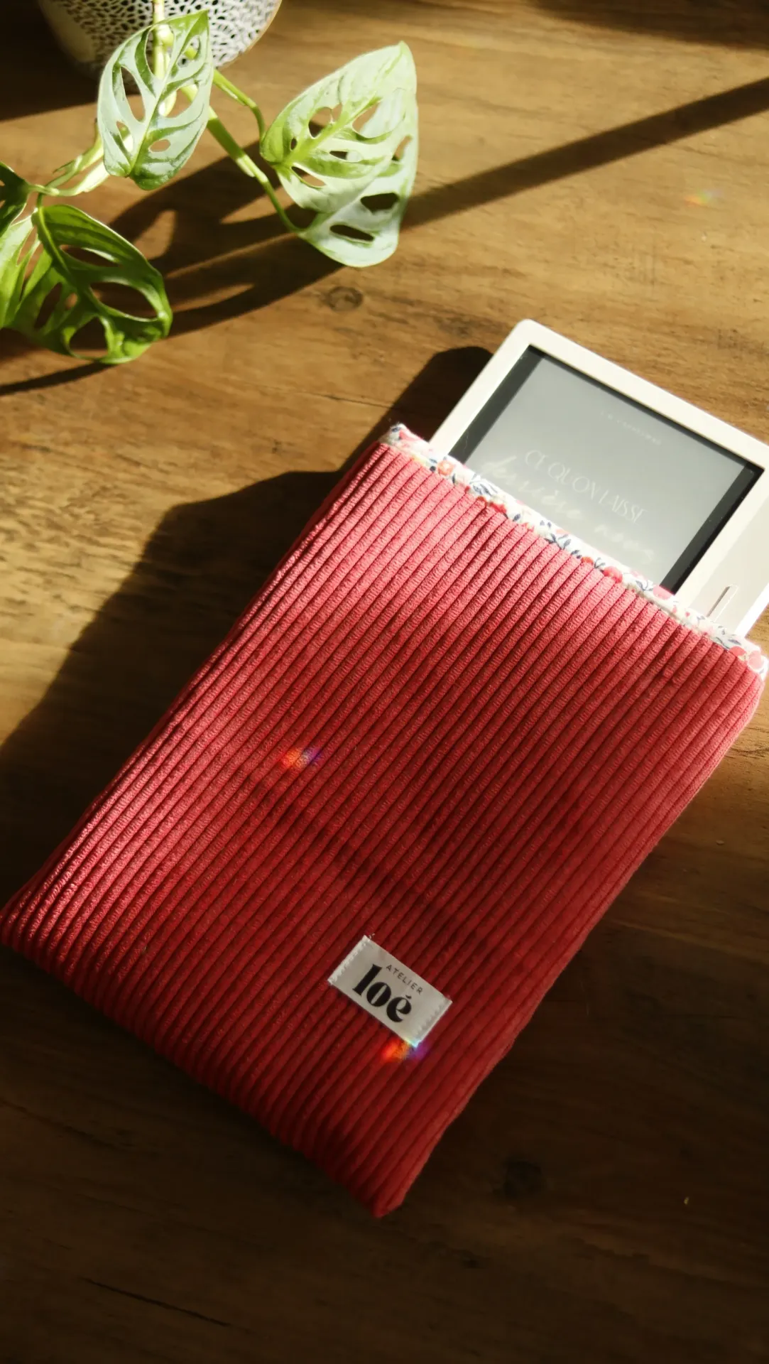 Housse de protection pour liseuse